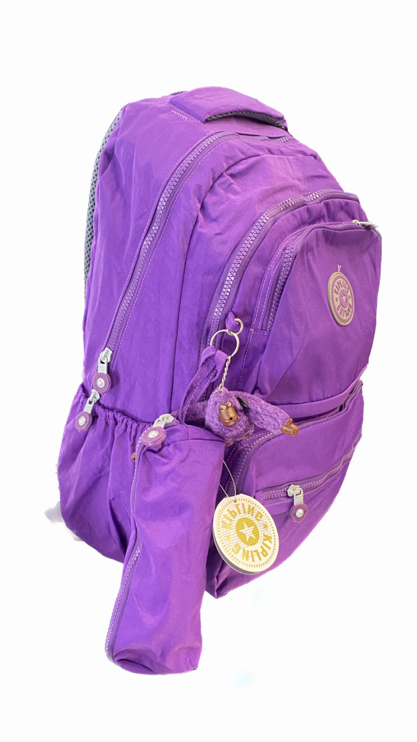 Kipling BackBag Size 20
