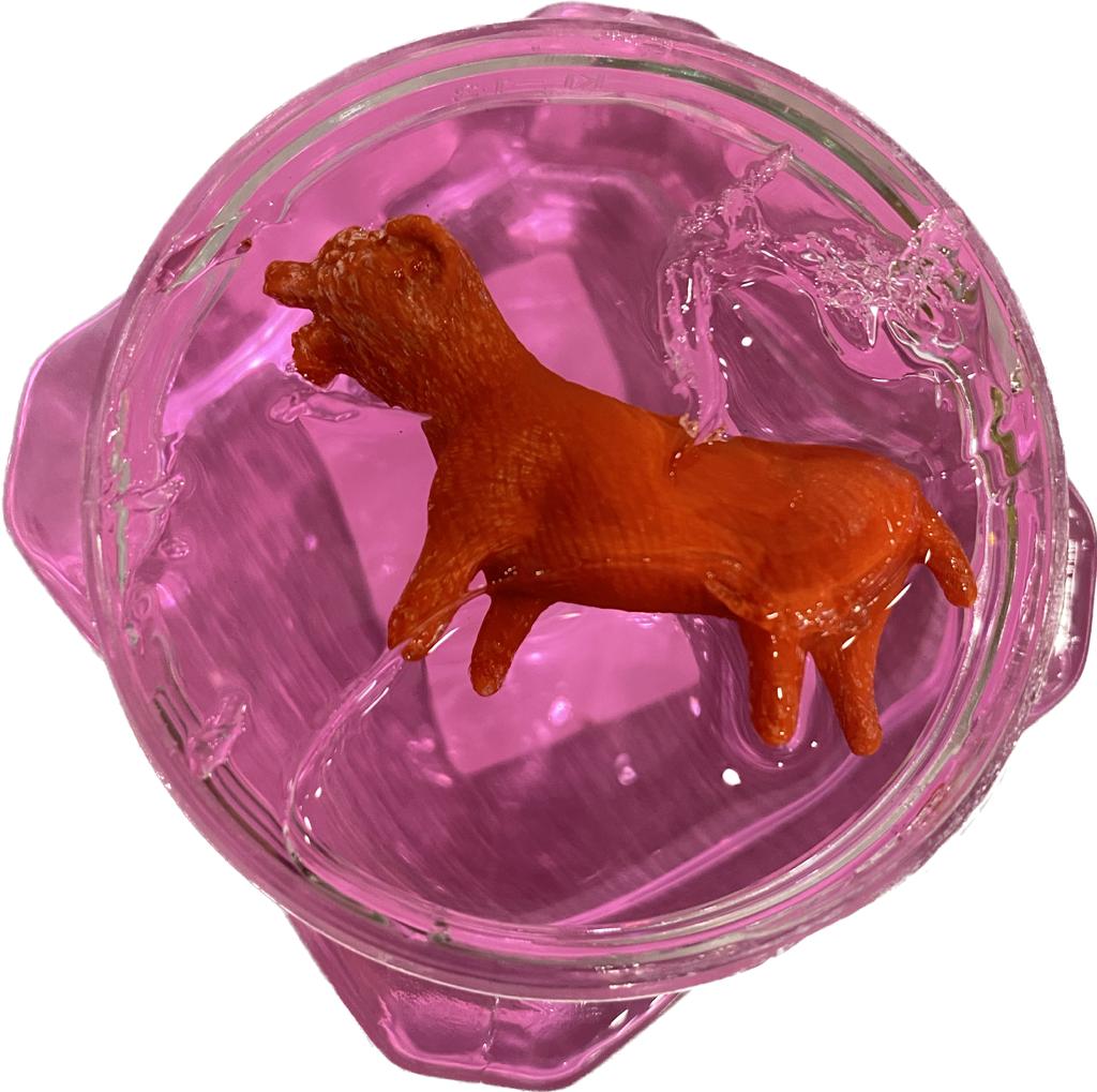 Animals Slime