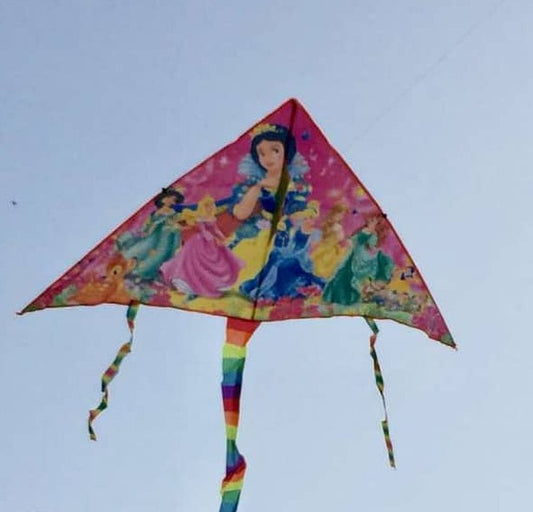 Fabric Disney Beach Plane