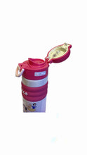 Load image into Gallery viewer, Stainless316 Hello Disney double sip Bottle 500ml
