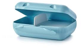 Tupper ware Dolphin Lunch box with Divider