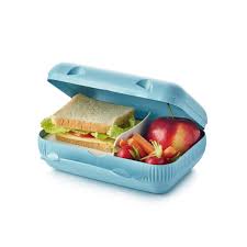 Tupper ware Dolphin Lunch box with Divider