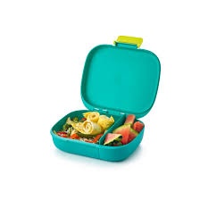 Tupper ware Lunch box PARR.FISH