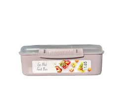 Plastema 1.65L Lunch Box