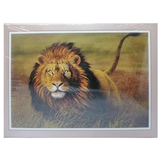 Jig-Saw 300 pcs Puzzle